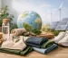 10 Sustainable Sports Clothing Brands to Know